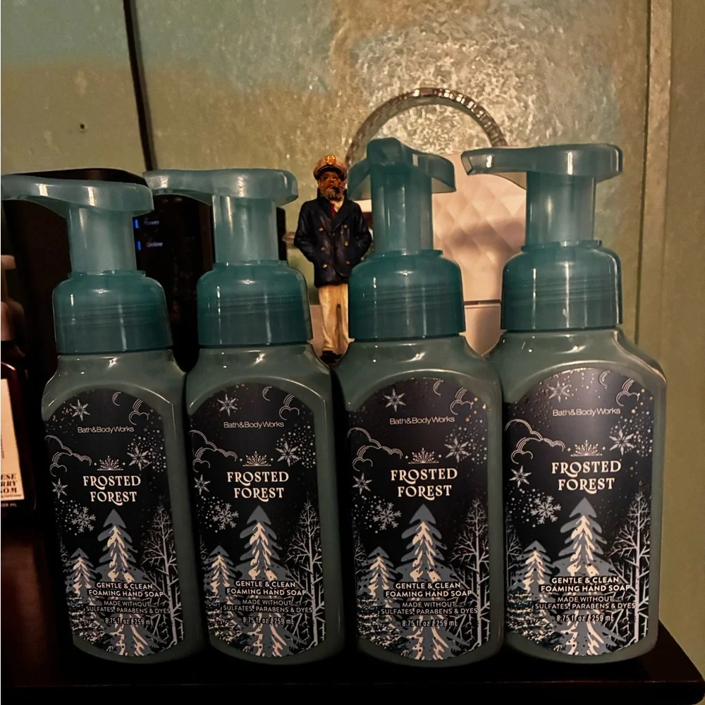 NWT Bath & Body Works Frosted Forest Gentle & Clean Foaming Hand Soap ( 4) - Picture 1 of 4